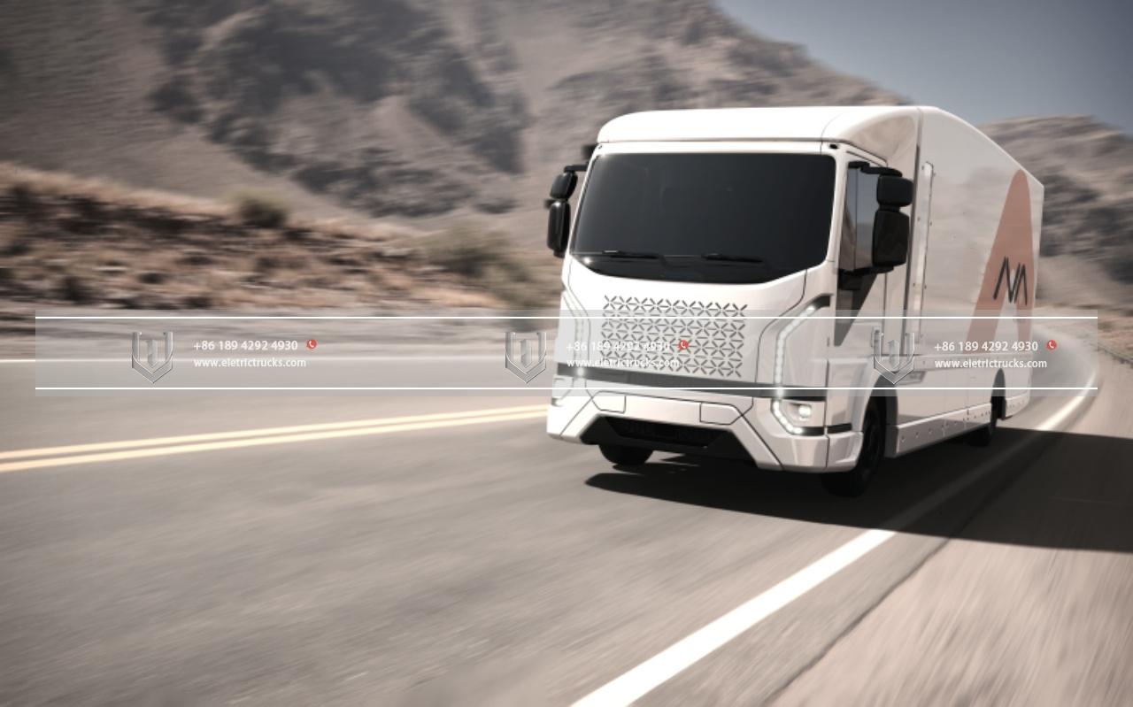 Electric Truck (5)