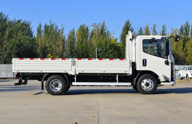 Luda 4.5T 4.2-meter single-row pure electric flatbed light truck