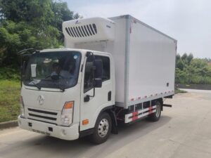 Dayun 3.1 Truc fuarachaidh Ton Electric