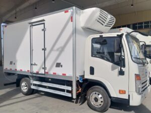 Dayun 3.1 Truc fuarachaidh Ton Electric
