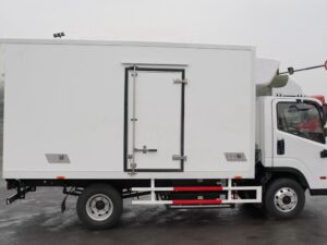 Hyundai 4.5 Ton Electric Refrigerated Truck