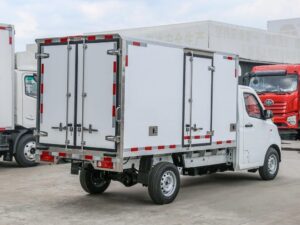 Remote 3 Ton Electric Refrigerated Truck
