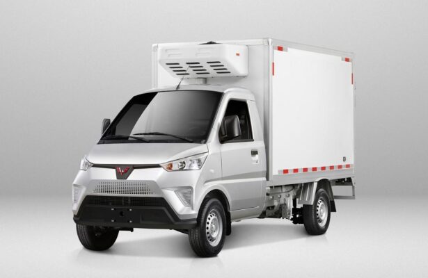 Wuling 2.7 Ton Electric Refrigerated Truck