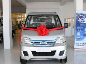 Qirui 2.6 Ton elatric garing van truk