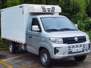 Ruichi 3.3 Ton Eletric Trughated Truck